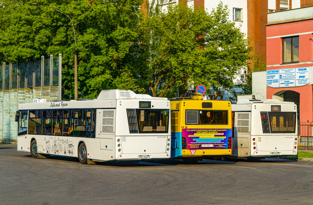 Brest, MAZ-203.047 # 479