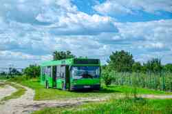 Gomel, MAZ-103.062 # 11631