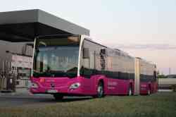 Karlstadt am Main, Mercedes-Benz Citaro C2 G # MSP-LY 456