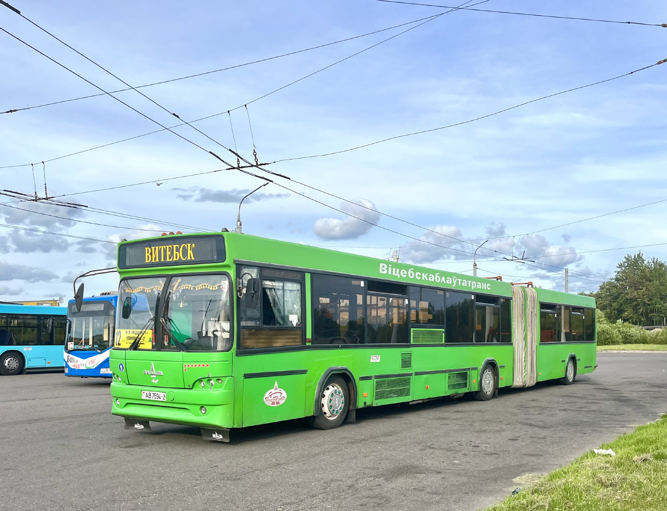 Vitebsk, MAZ-105.465 # 010146