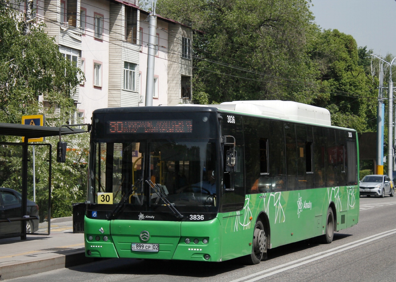 Almaty, Golden Dragon XML6125CN # 3836