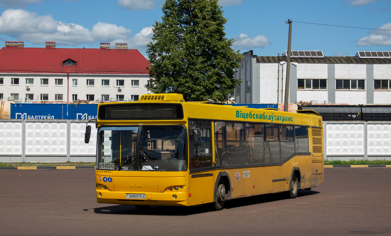 Polotsk, MAZ-103.562 # 010308