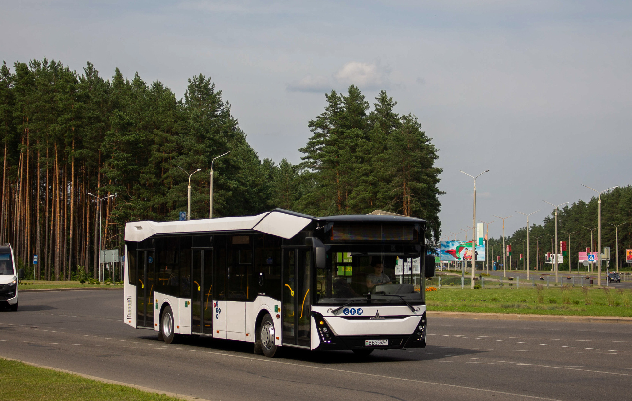 Borisov, MAZ-303.047 # ВВ 2562-5