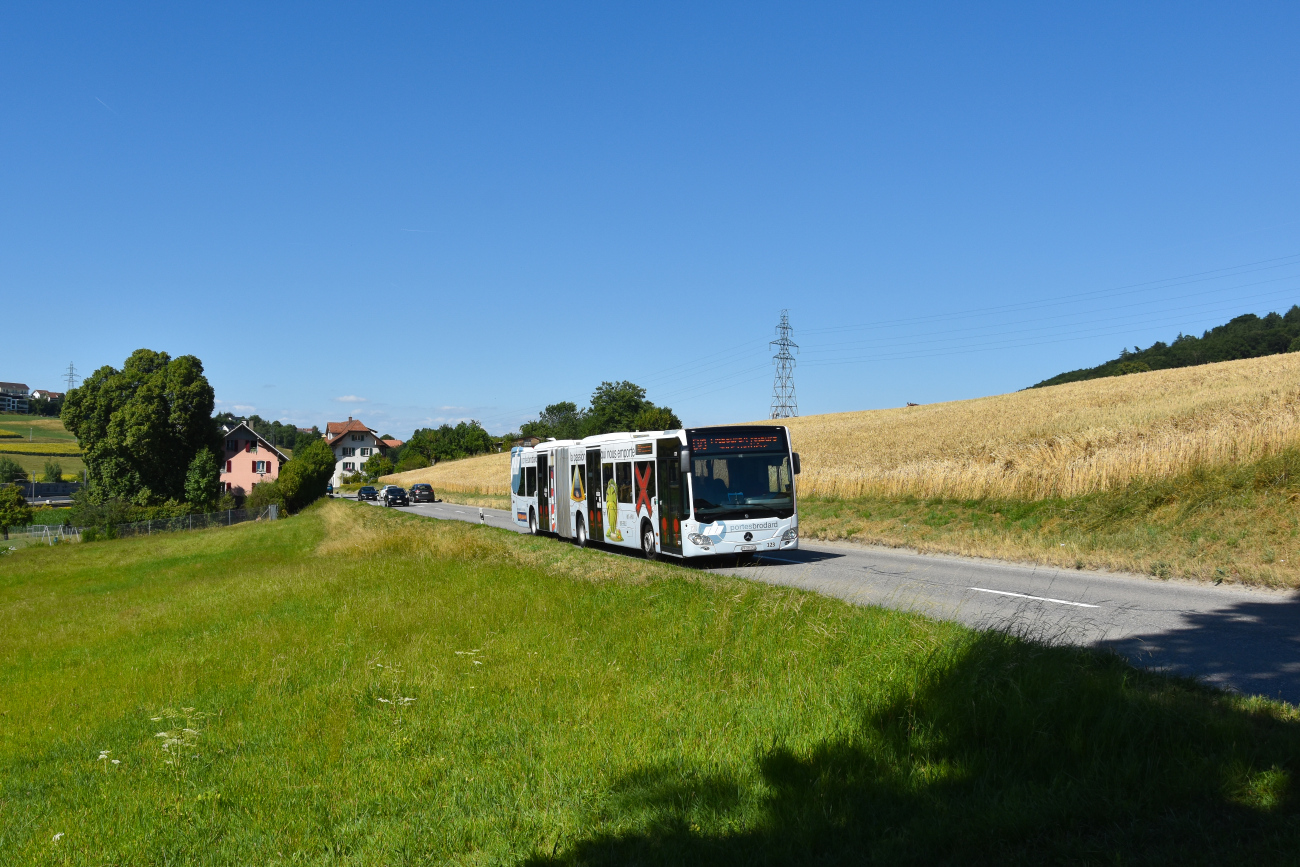 Fribourg, Mercedes-Benz Citaro C2 GÜ # 123; Bern — Ersatzverkehr/Service de remplacement Fribourg/Freiburg–Bern 27.06.2025 — 25.08.2025
