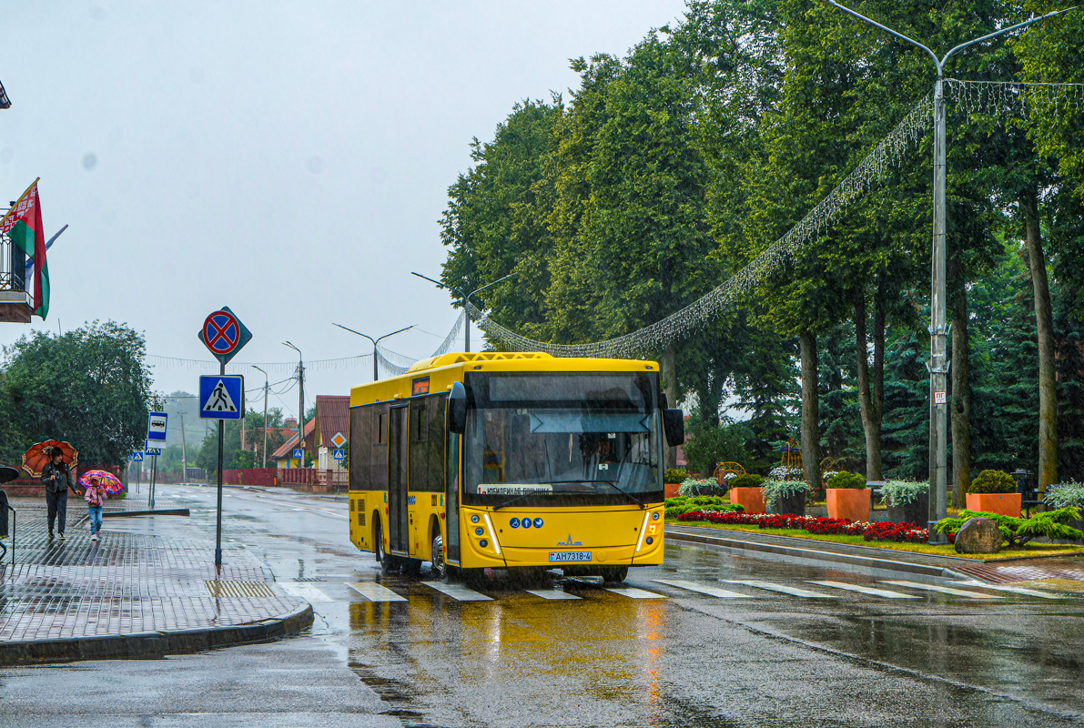 Skidel, MAZ-206.047 # 012020