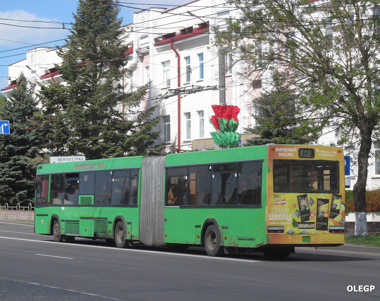 Mogilev, MAZ-105.060 # 2394