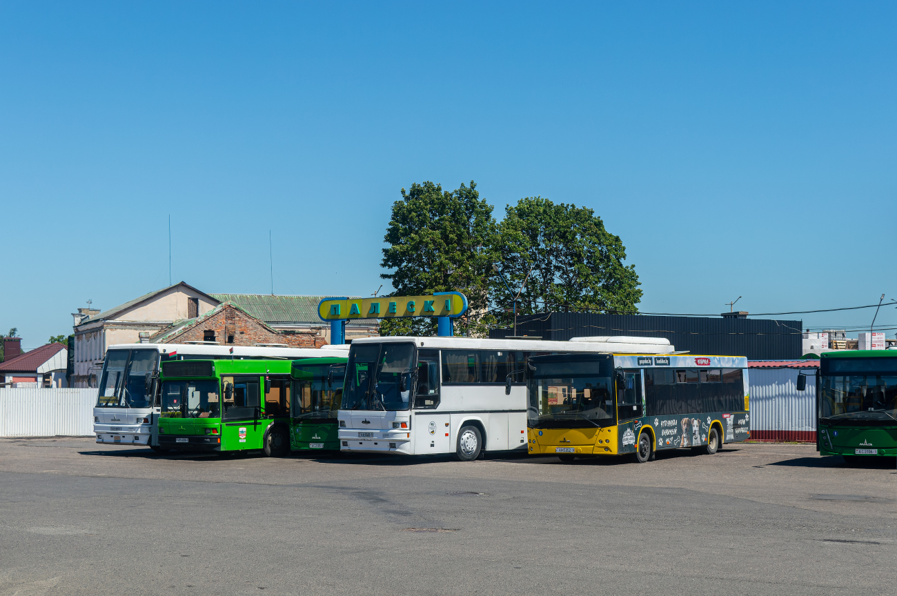 Baranovichi — Miscellaneous photos