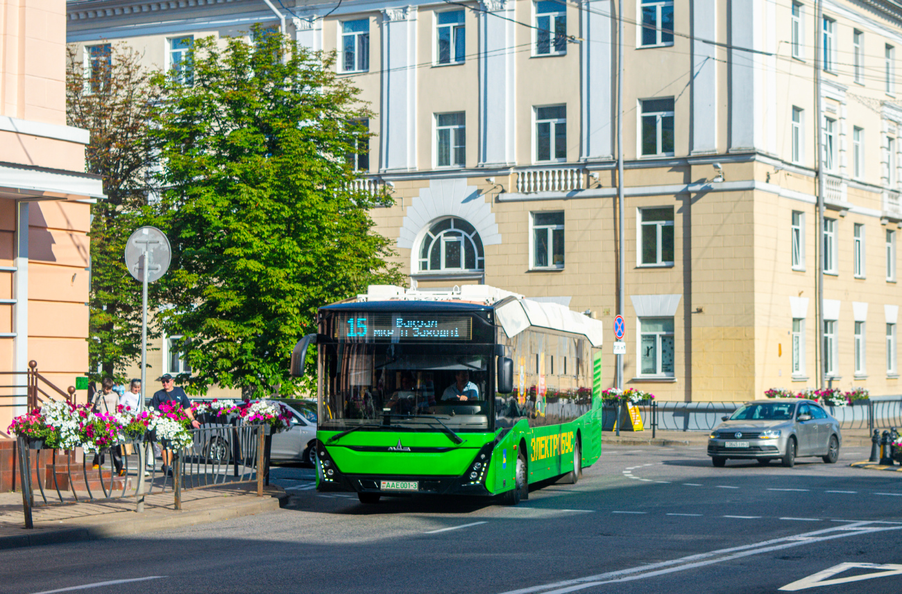 Gomel, MAZ-303.Е10 # 26451