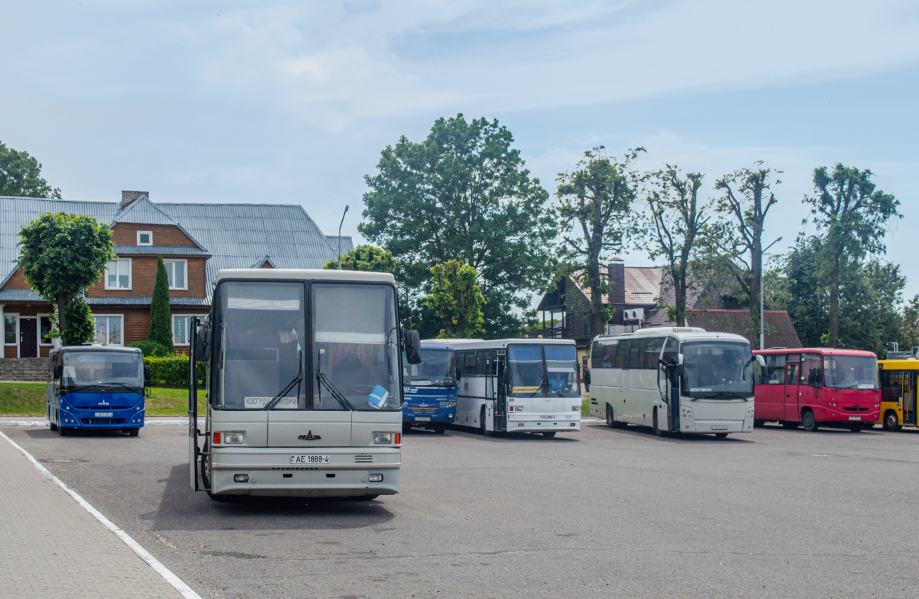 Novogrudok, MAZ-152.А62 # 010189; Novogrudok — Miscellaneous photos