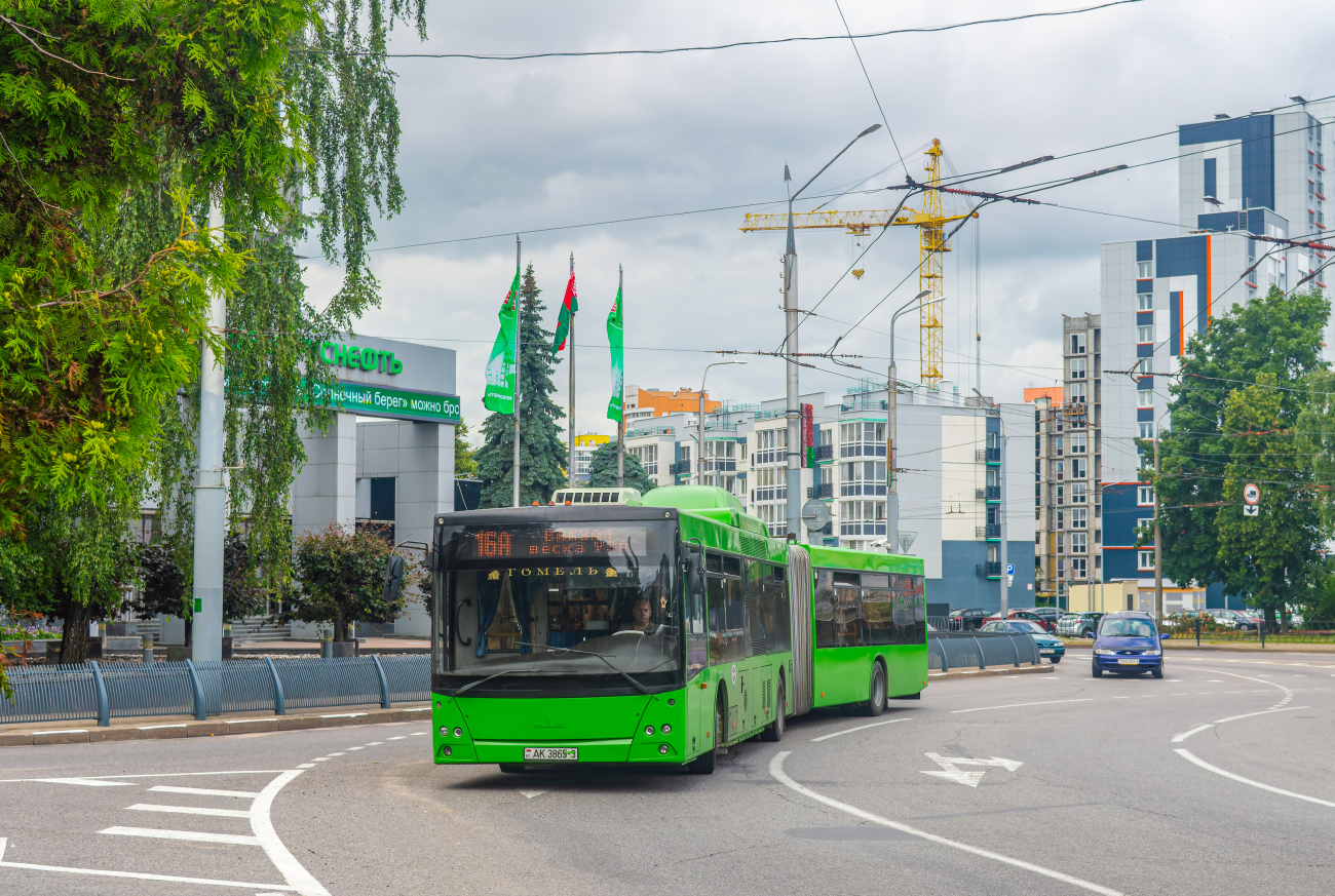 Gomel, MAZ-215.169 # 036919