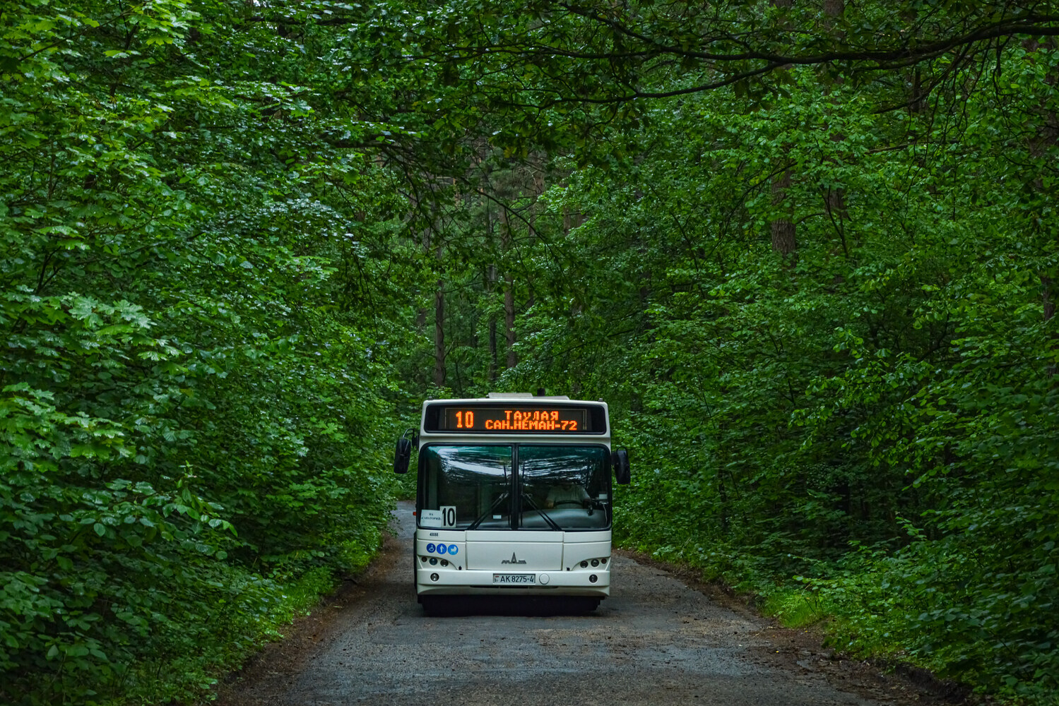 Grodna, MAZ-103.486 # 040088