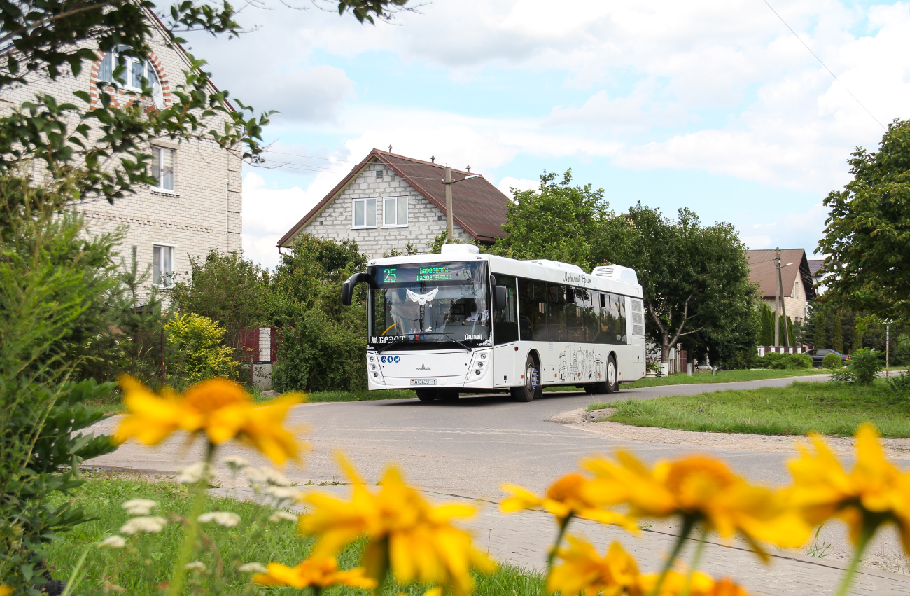 Brest, MAZ-203.047 # 498