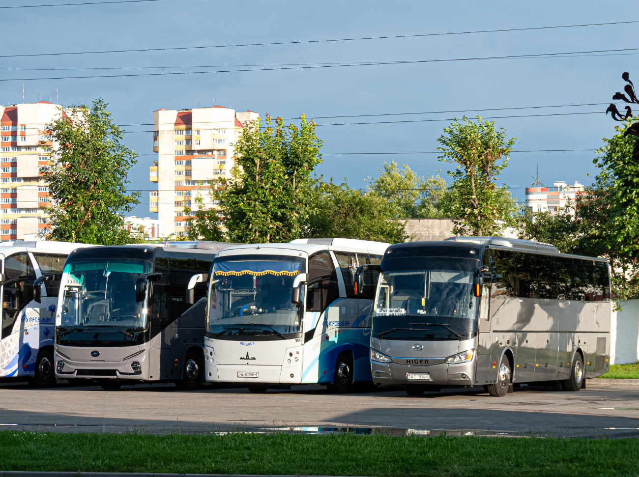 Brest, Higer KLQ6128LQ # АС 1934-1