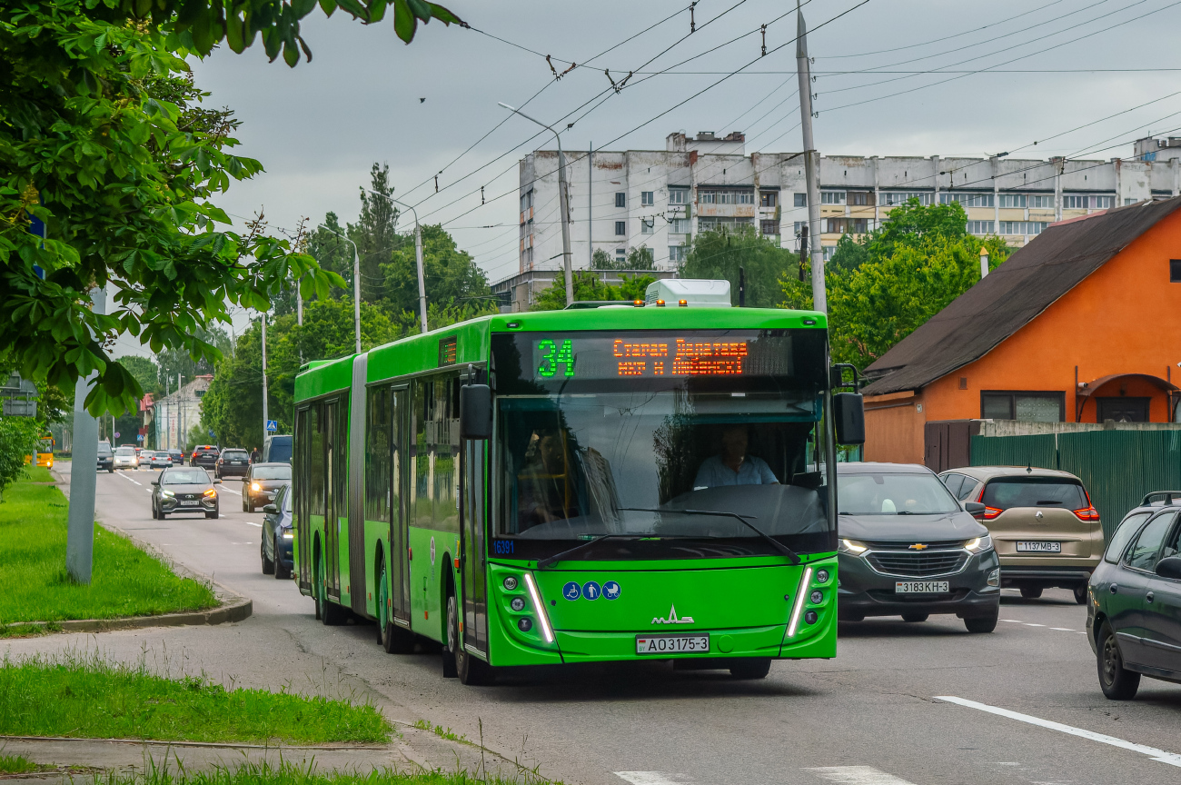 Gomel, MAZ-216.047 # 016391