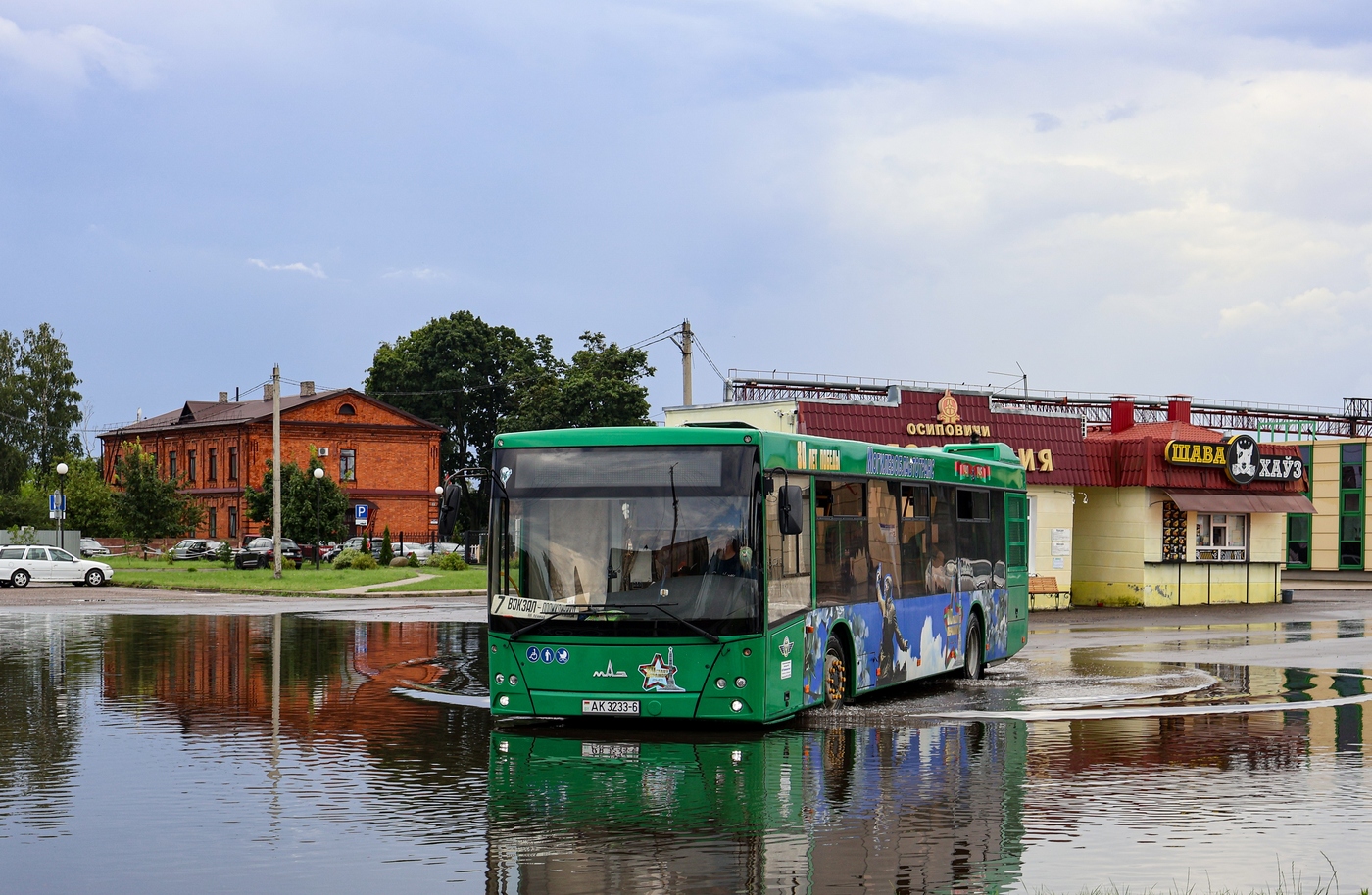 Osipovichi, MAZ-203.016 # 190014