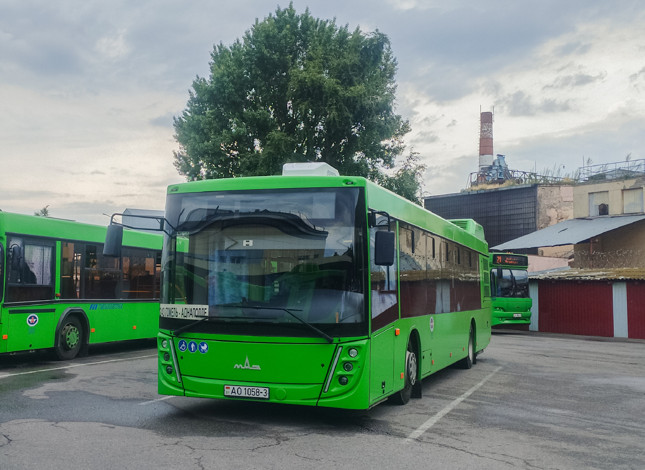 Gomel, MAZ-203.047 # 037310