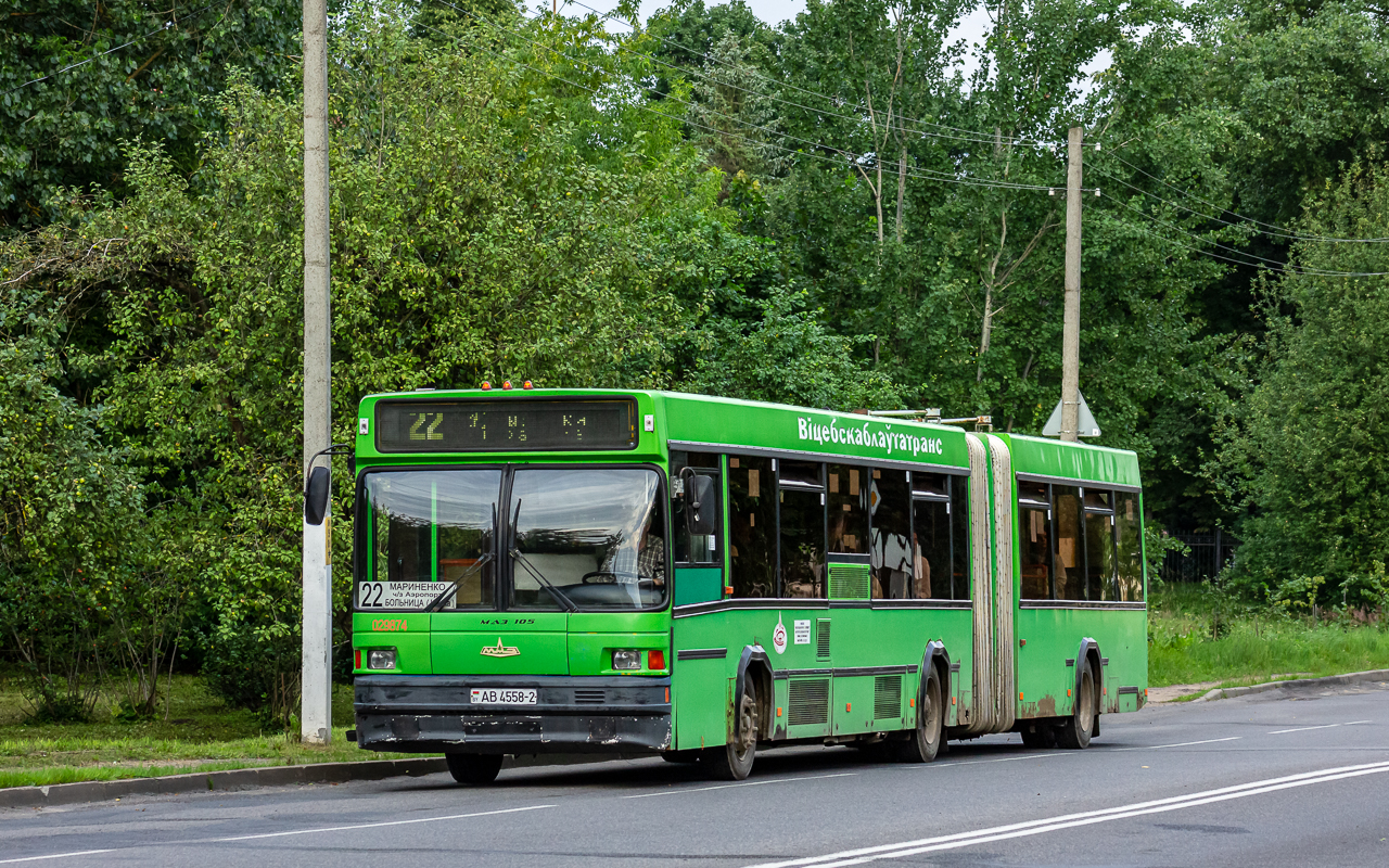 Polotsk, MAZ-105.065 # 029874