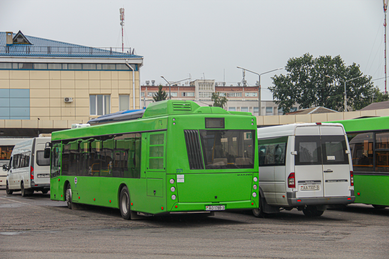 Gomel, MAZ-203.047 # 037371