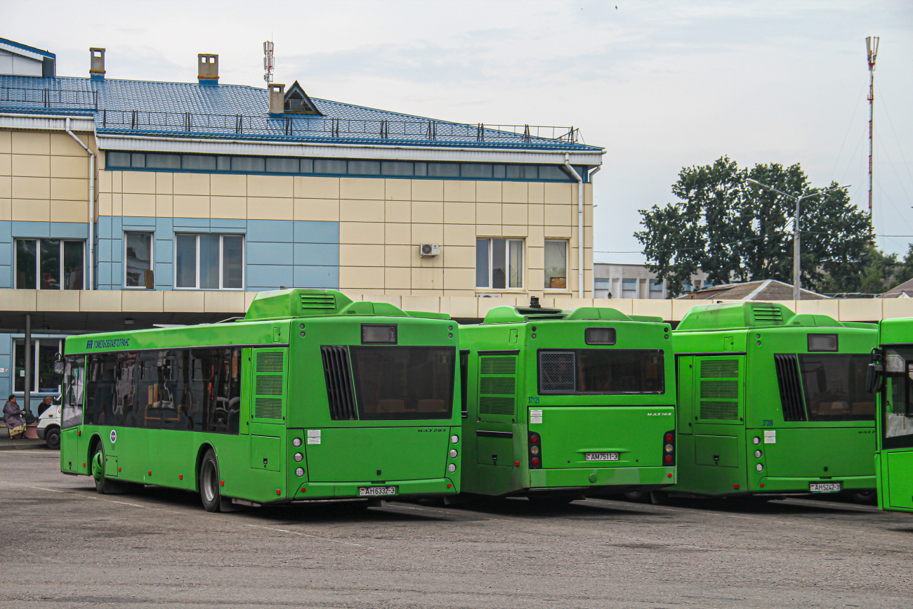 Gomel, MAZ-203.047 # 016225; Gomel, MAZ-103.486 # 037125; Gomel, MAZ-203.045 # 037206