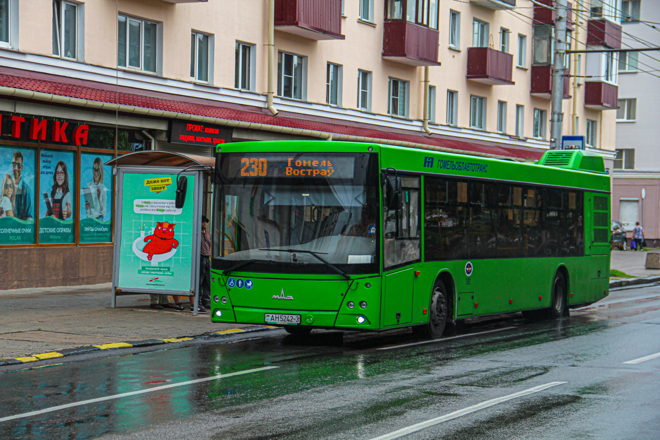 Gomel, MAZ-203.045 # 037206