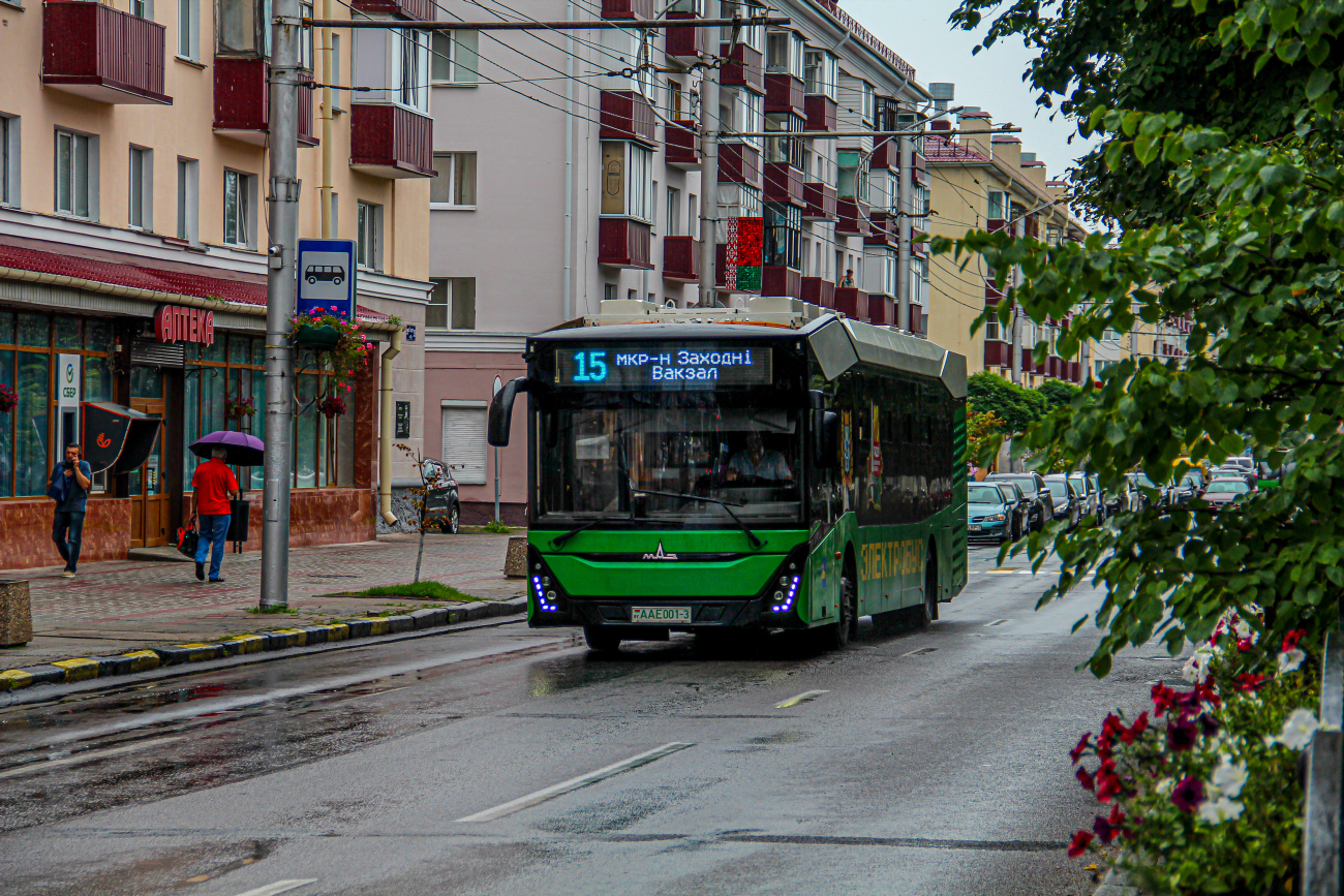 Gomel, MAZ-303.Е10 # 26451