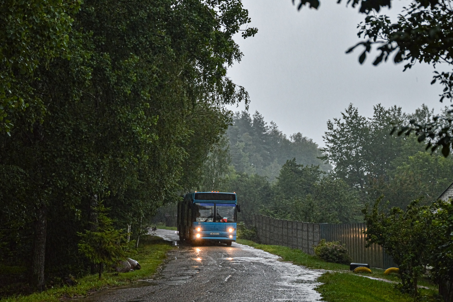 Grodna, MAZ-105.465 # 042625; Grodna — Photo creativitiy