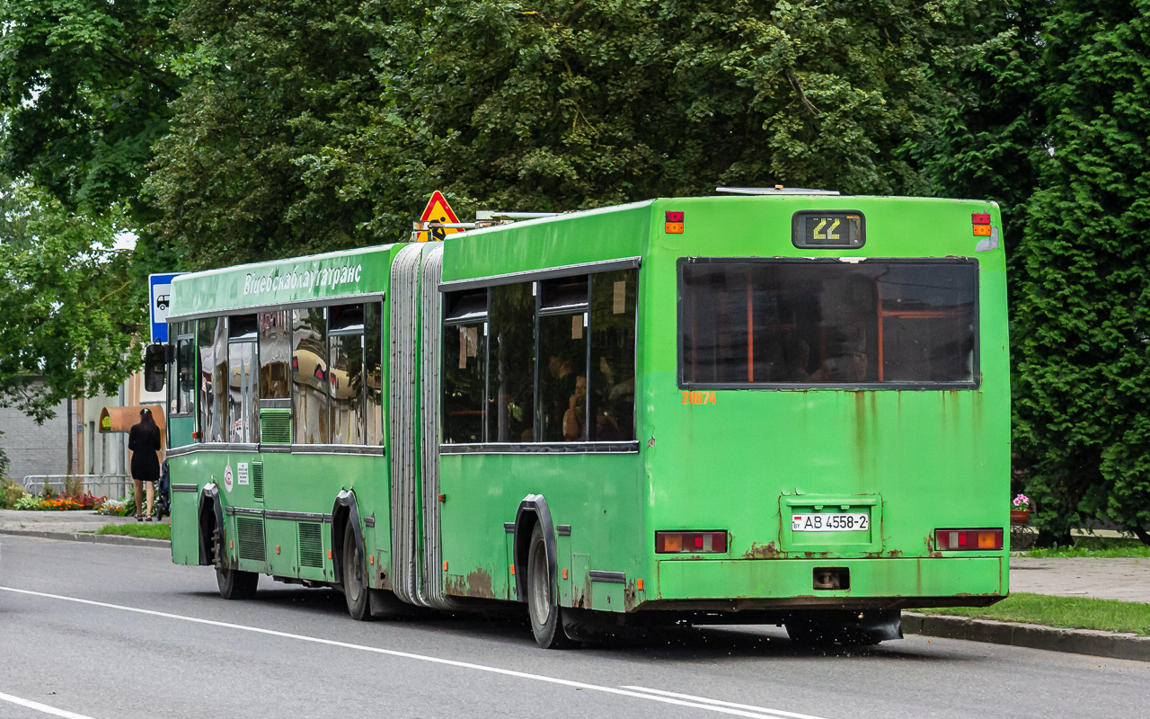 Polotsk, MAZ-105.065 # 029874