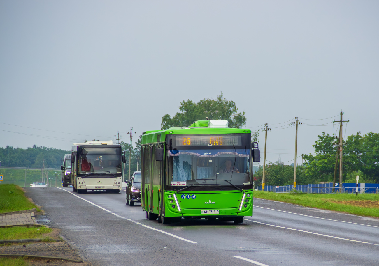 Zhlobin, MAZ-203.047 # 20699