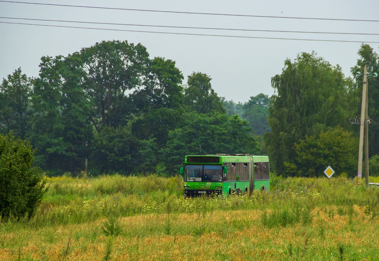 Zhlobin, MAZ-105.065 # 35143; Zhlobin — Miscellaneous photos