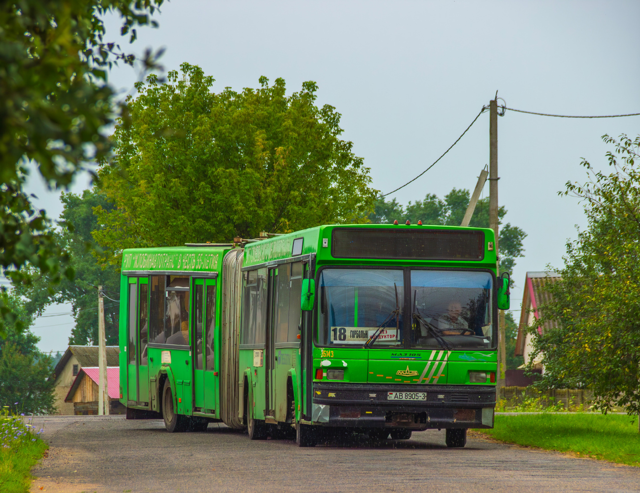 Zhlobin, MAZ-105.065 # 35143