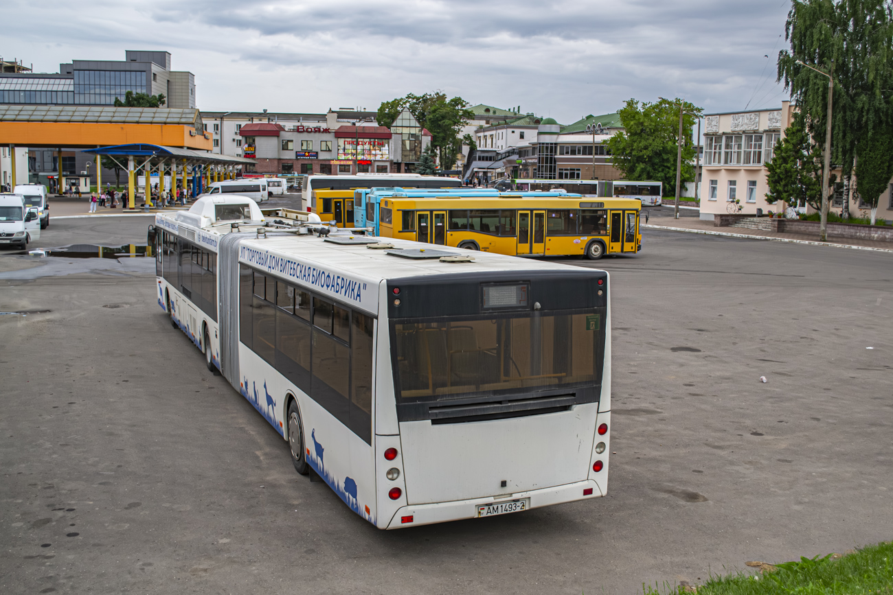 Vitebsk, MAZ-215.069 # АМ 1493-2
