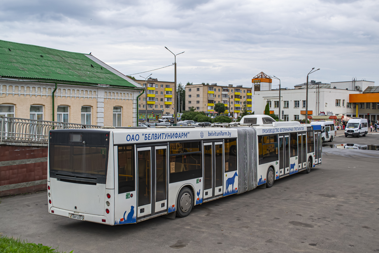 Vitebsk, MAZ-215.069 # АМ 1493-2