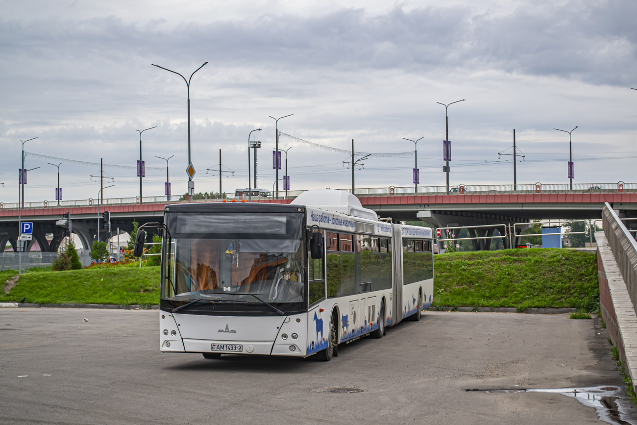 Vitebsk, MAZ-215.069 # АМ 1493-2