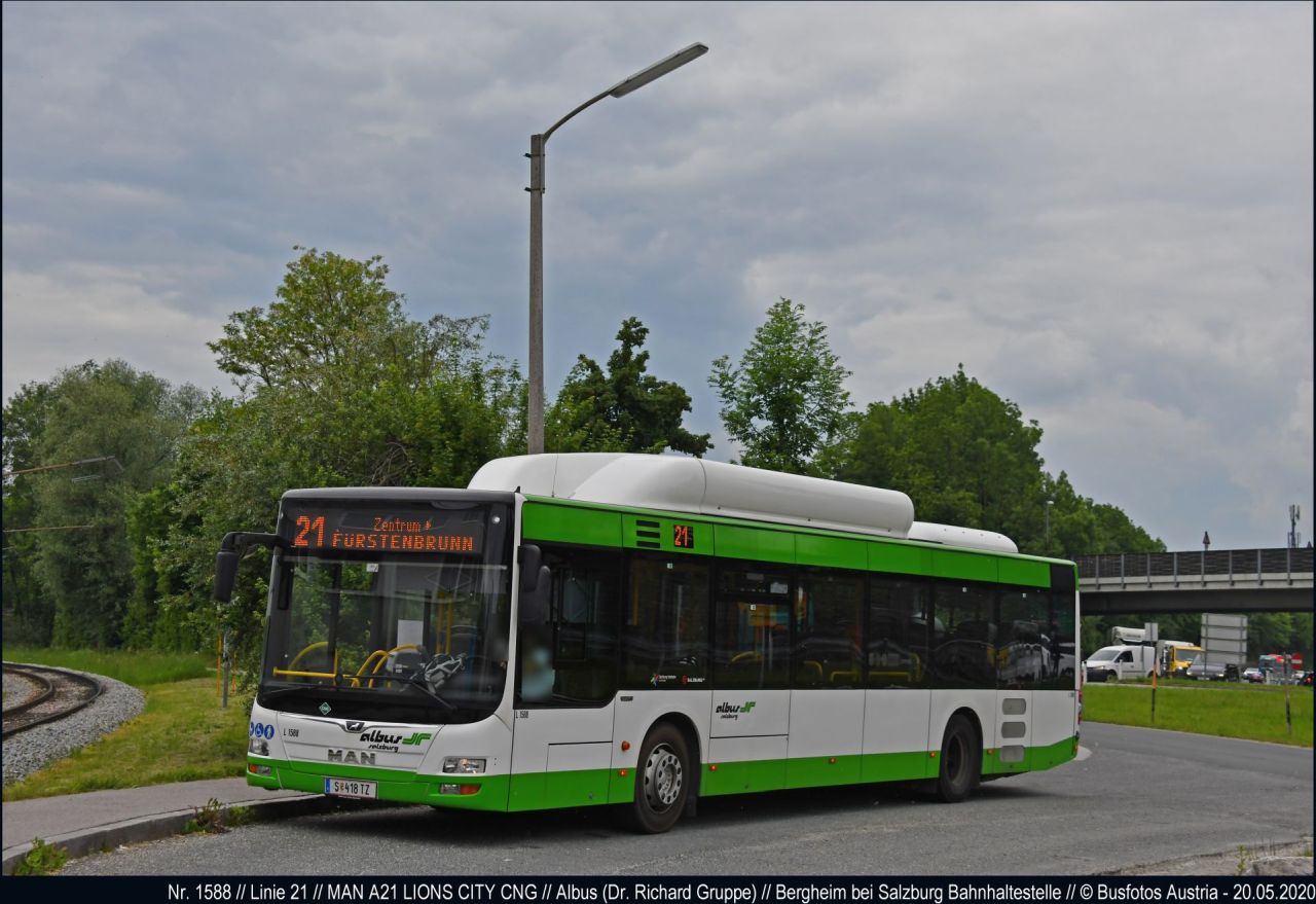 Salzburg, MAN A21 Lion's City NL313 CNG # L1588