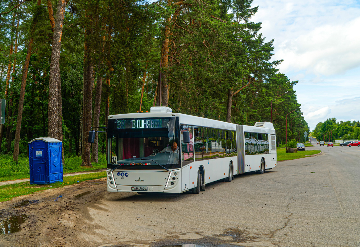 Grodna, MAZ-216.047 # 045100