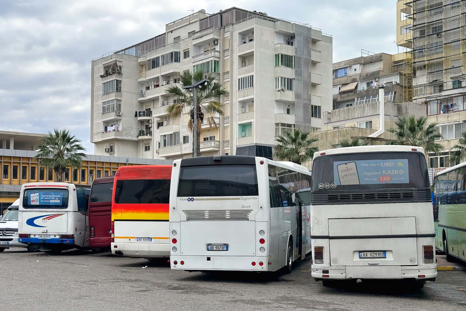 Albania, other, Neoplan N316Ü Transliner # AA-929OR; Albania, other, TEMSA Safari RD # AA-907DF; Durrës, Roubas & Spiliotopoulos (RS) # AA-029RU