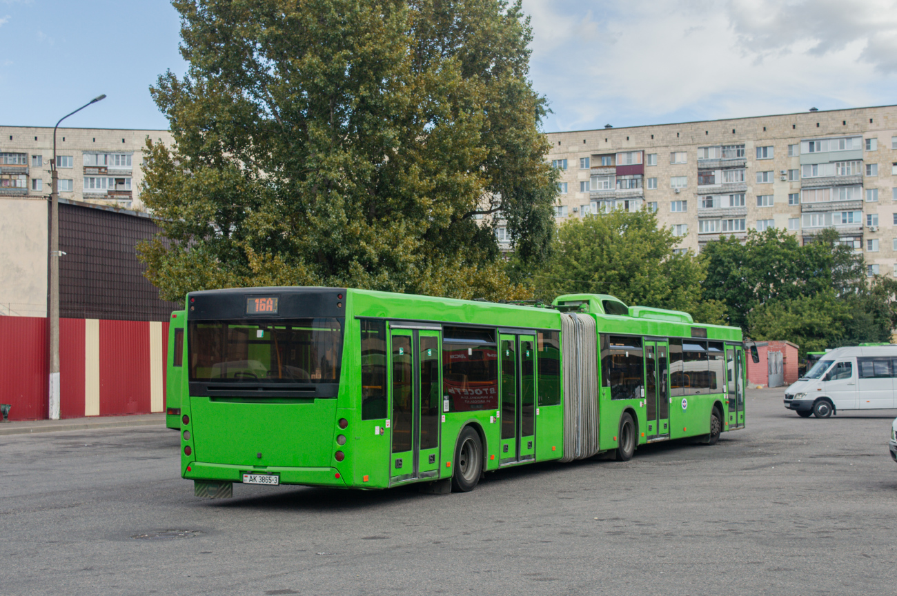 Gomel, MAZ-215.169 # 036919