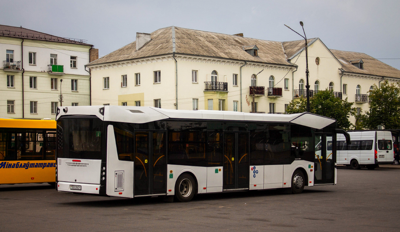 Borisov, MAZ-303.047 # ВВ 2562-5