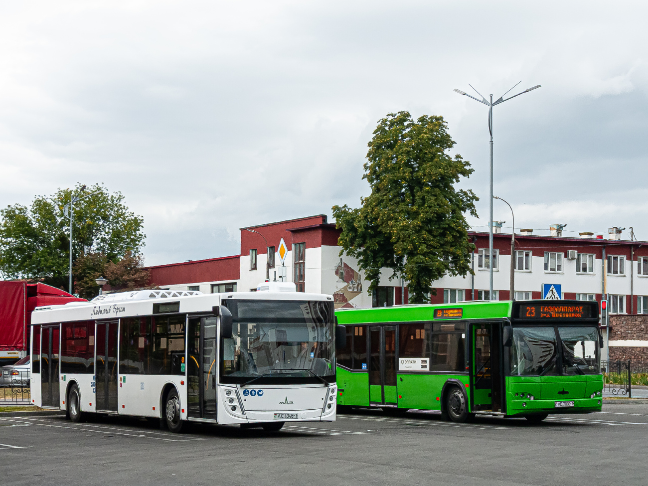 Brest, MAZ-203.047 № 494