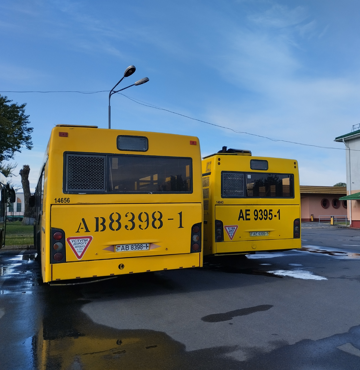 Pinsk, MAZ-103.476 # 14893; Pinsk, MAZ-103.465 # 14656