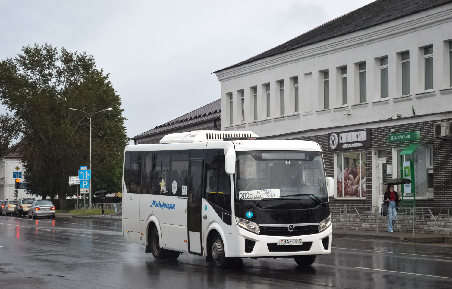 Vileyka, PAZ-320405-04 "Vector Next" (32045D, -5P, -5S) # 10700