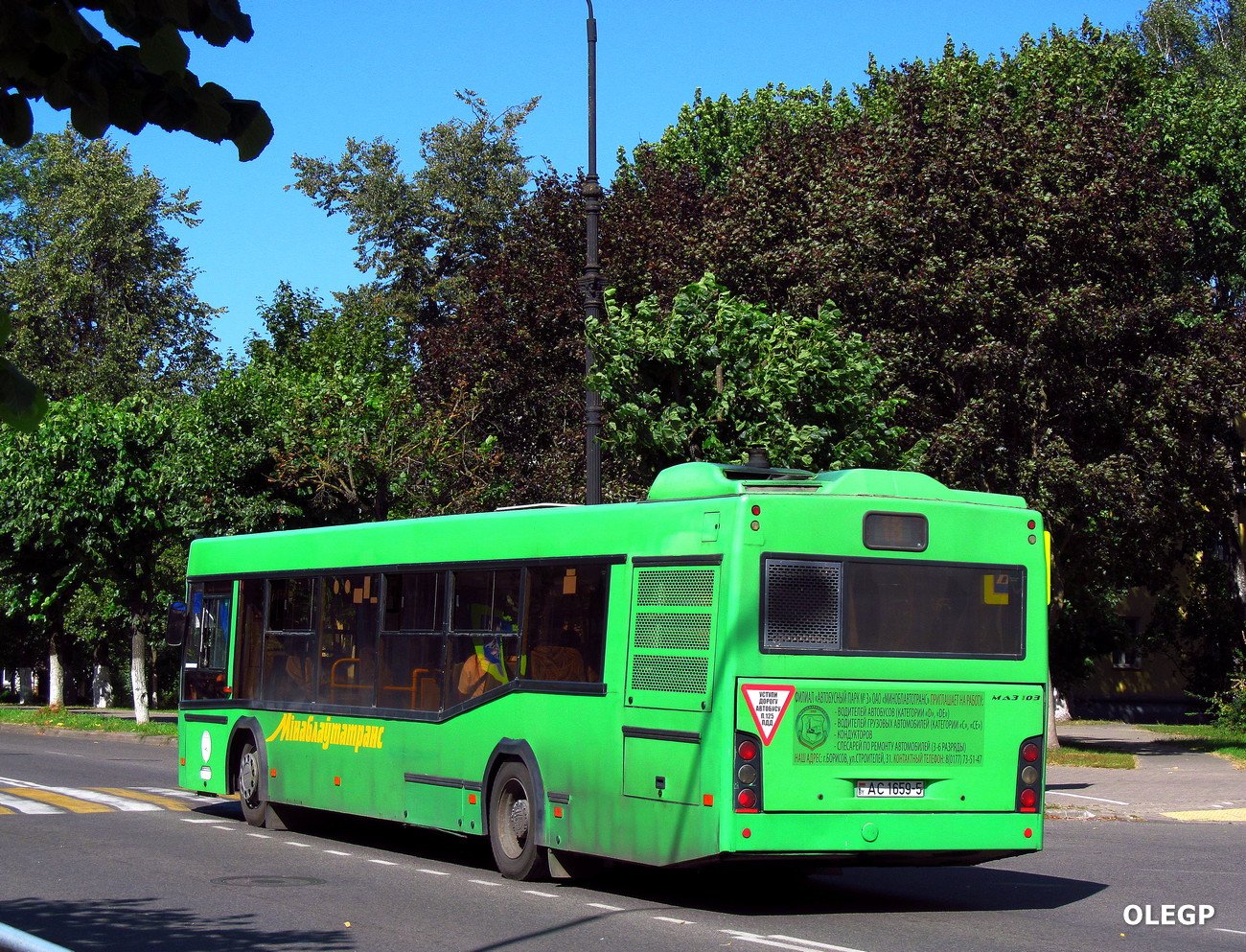 Borisov, MAZ-103.486 # 15865