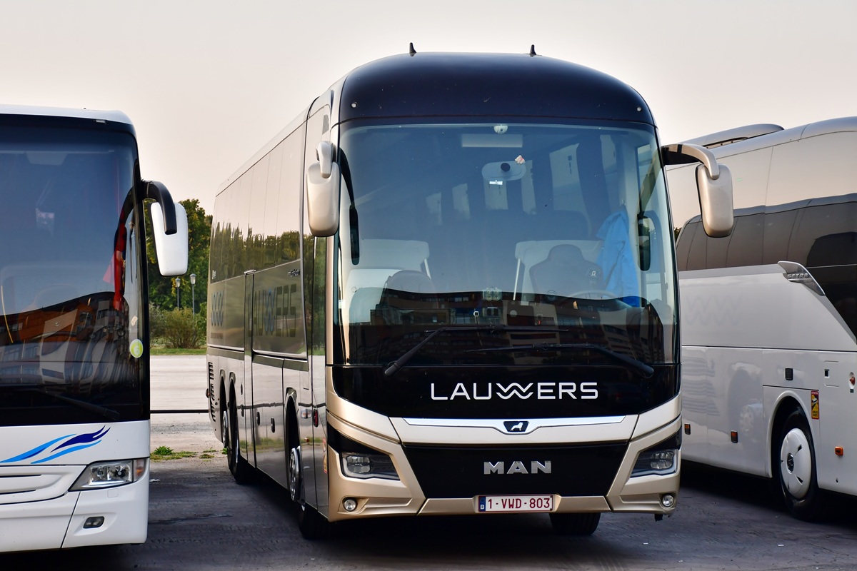 Antwerp, MAN R09 Lion's Coach C # 1-VWD-803