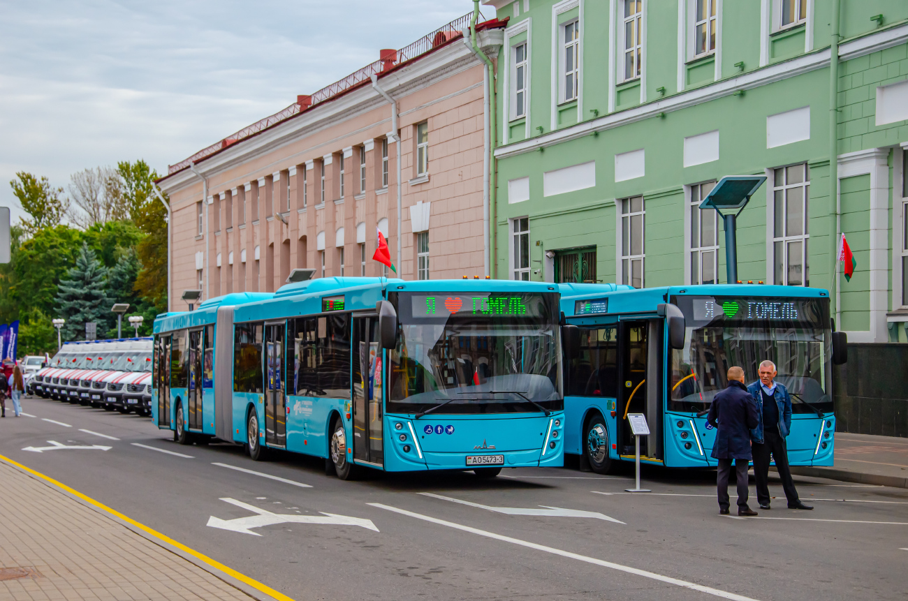 Gomel, MAZ-216.047 # 13201