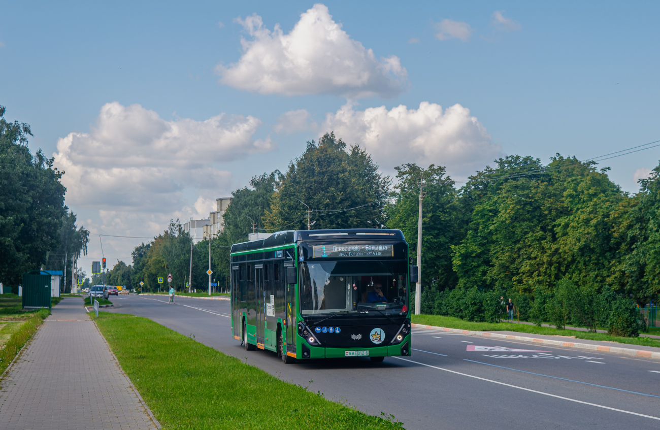 Shklov, BKM E321 "Olgerd" # AA E012-6