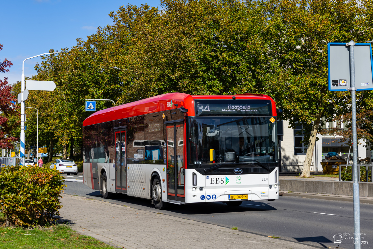 Den Haag, BYD eBus B12.b # 5231