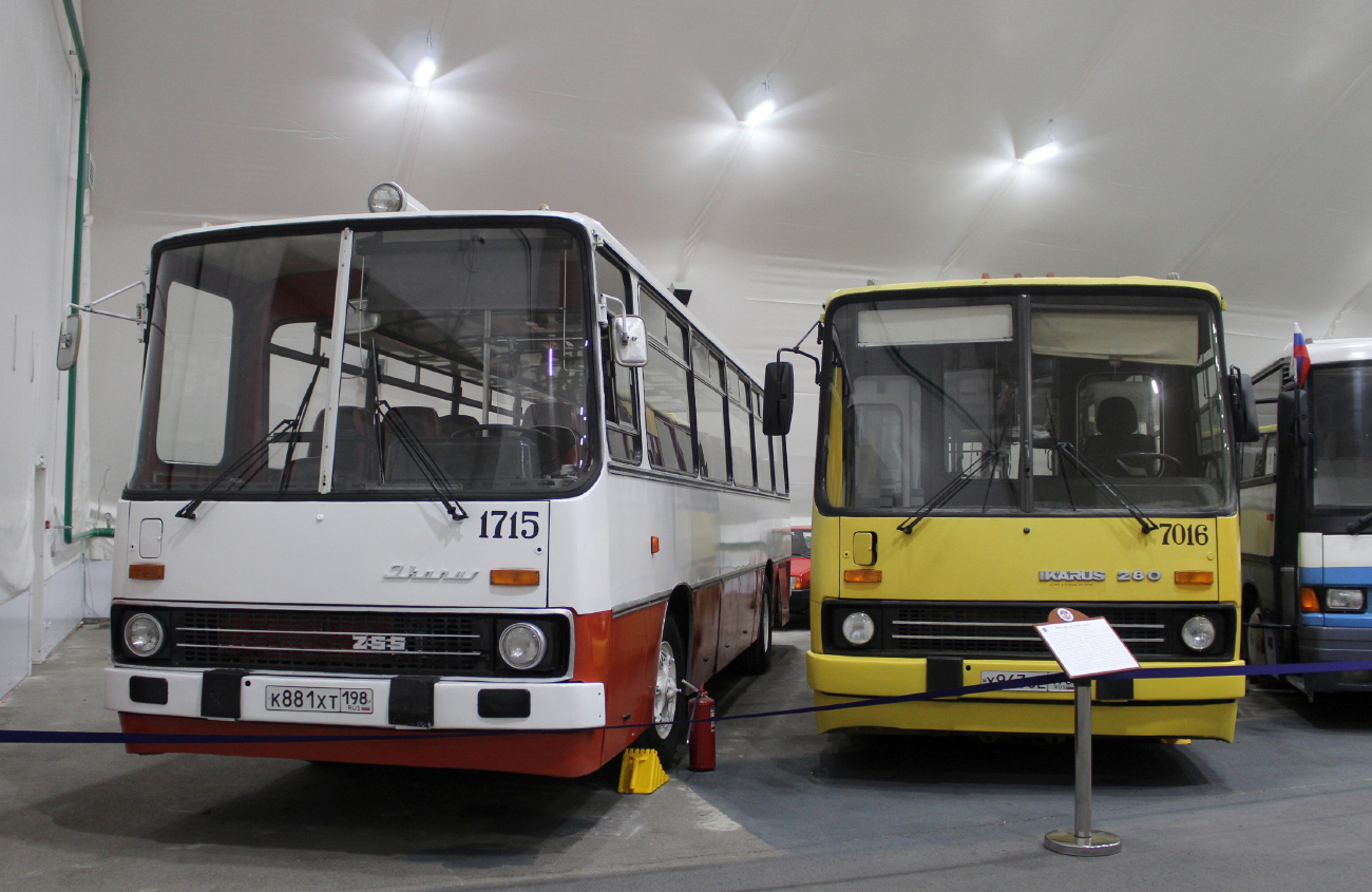 Saint Petersburg, Ikarus 255.70 # 1715; Saint Petersburg, Ikarus 280.33O # 7016