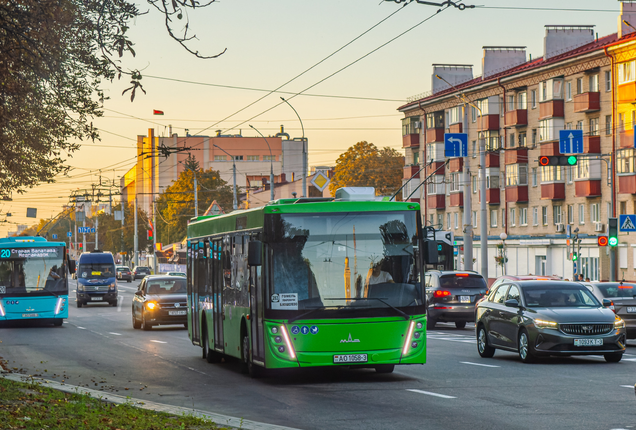 Gomel, MAZ-203.047 # 037310