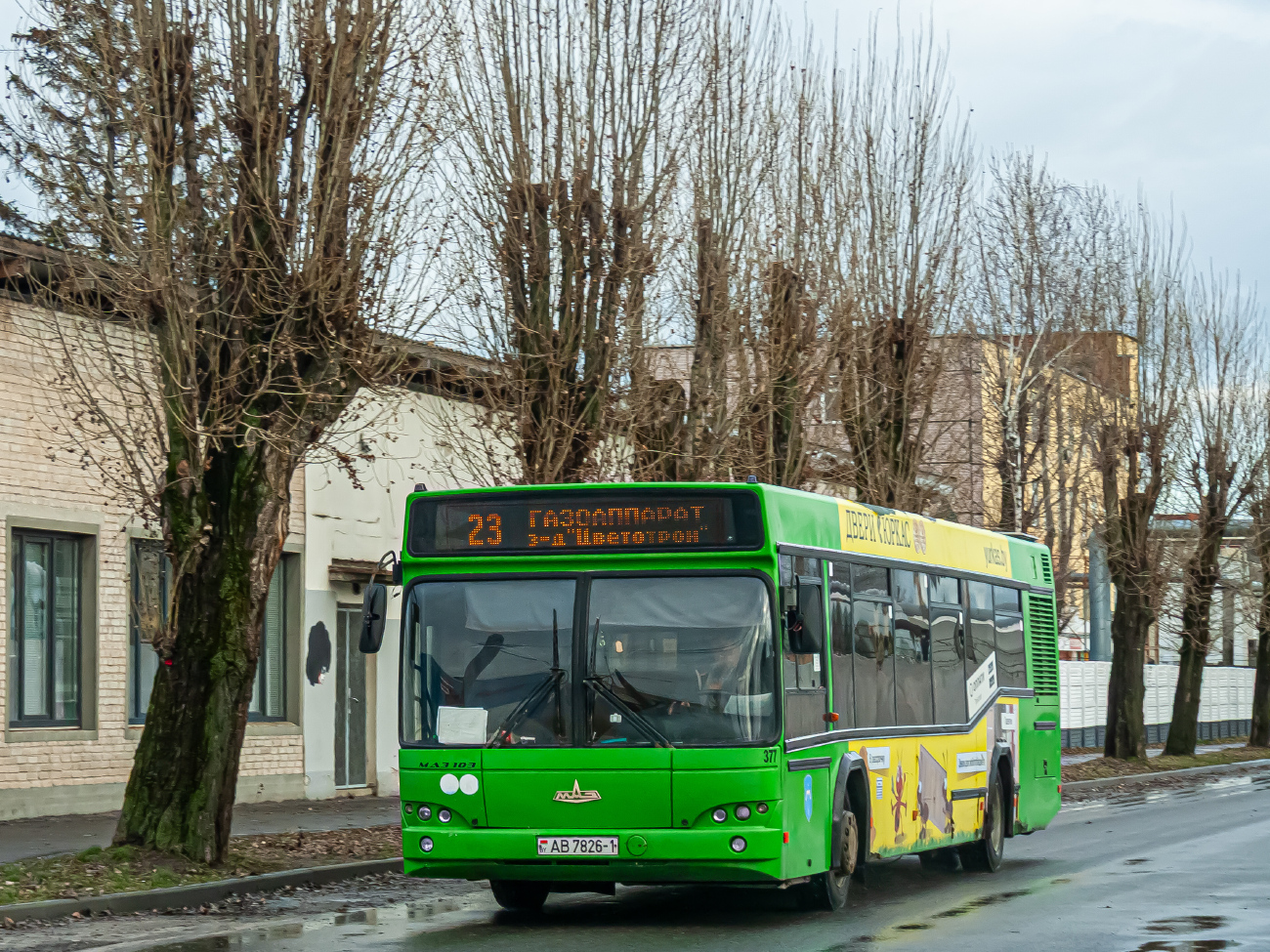 Brest, MAZ-103.465 # 611