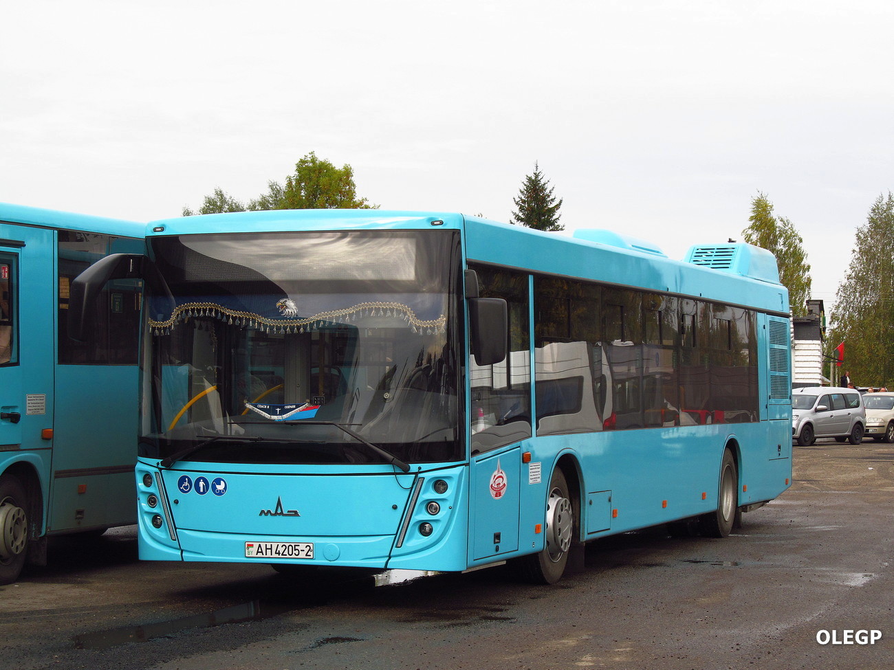 Novolukoml`, MAZ-203.047 # АН 4205-2